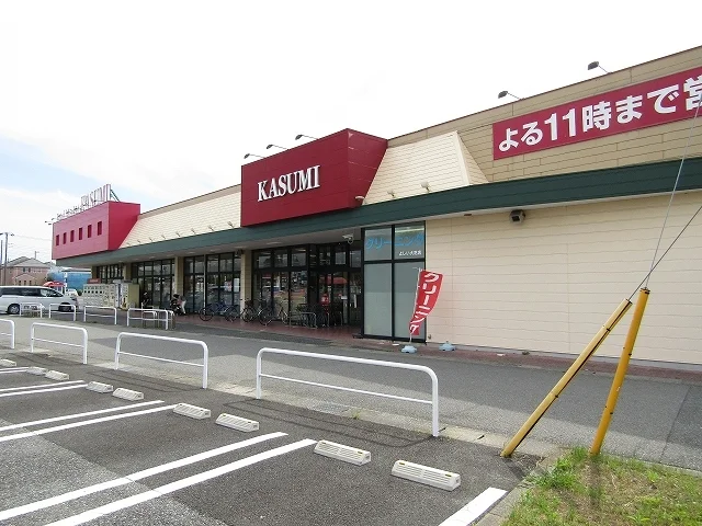 カスミ大芝店まで1100m