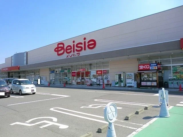 ベイシア渋川こもち店まで1100m