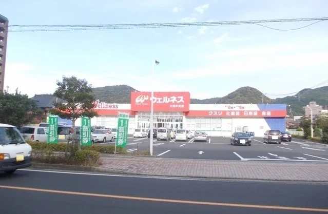 ウェルネス大田中央店まで900m