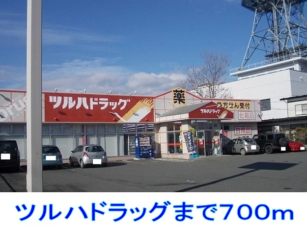 ツルハドラッグまで700m