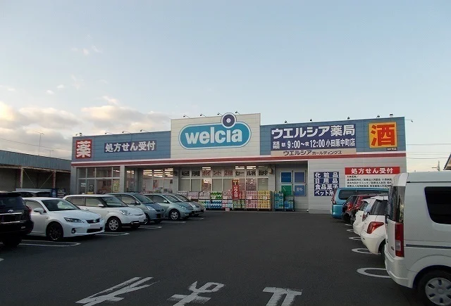 ウエルシア中町店まで600m