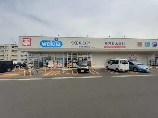 ウエルシア新潟東中野山店まで371m