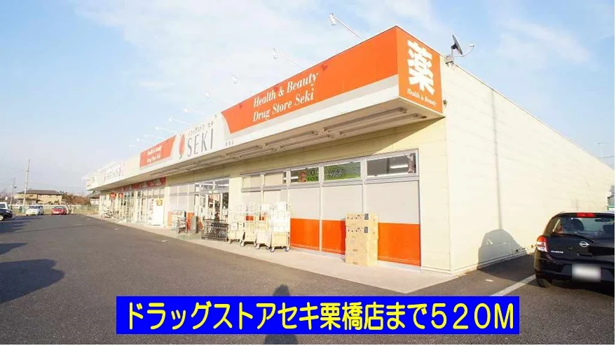 ドラッグストアセキ栗橋店まで520m
