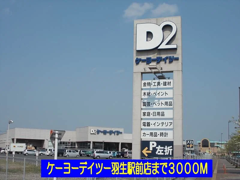 ケーヨーデイツー羽生駅前店まで3000m