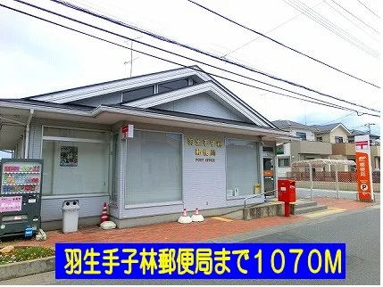 羽生手子林郵便局まで1070m