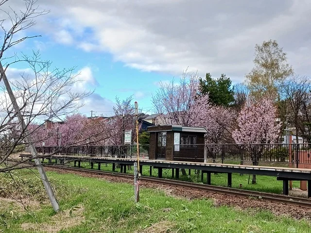 JR緑が丘駅まで1200m