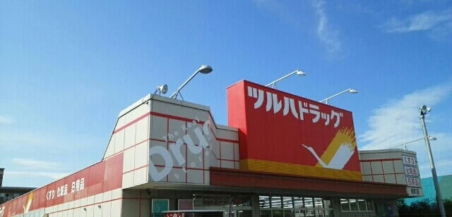 ツルハドラッグまで700m