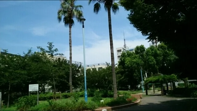 日本橋公園まで280m