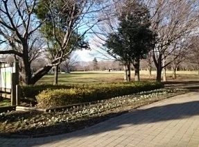 青葉の森公園まで330m
