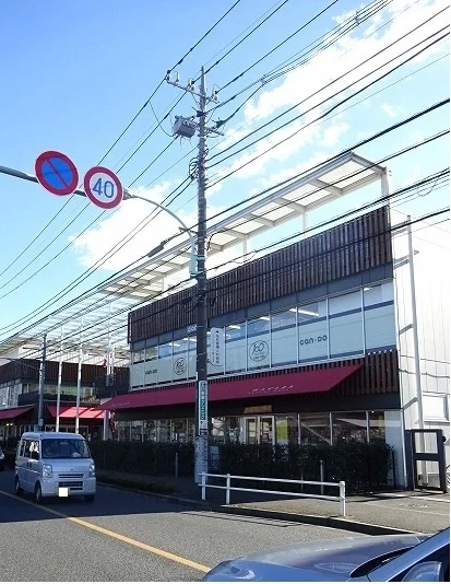 若葉ケヤキモールまで750m