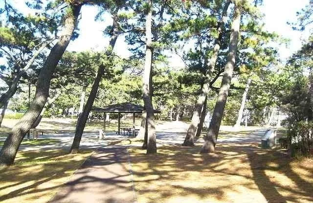 千本公園まで550m