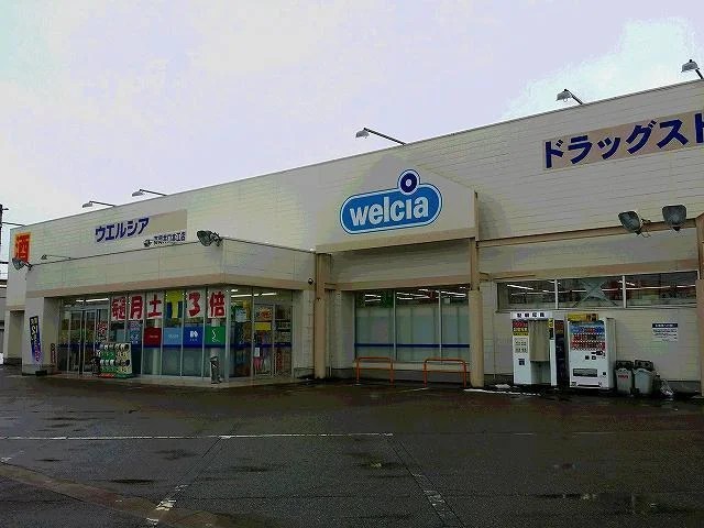 ウエルシア井口本江店まで1200m