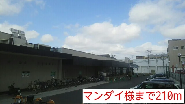 マンダイ様まで210m
