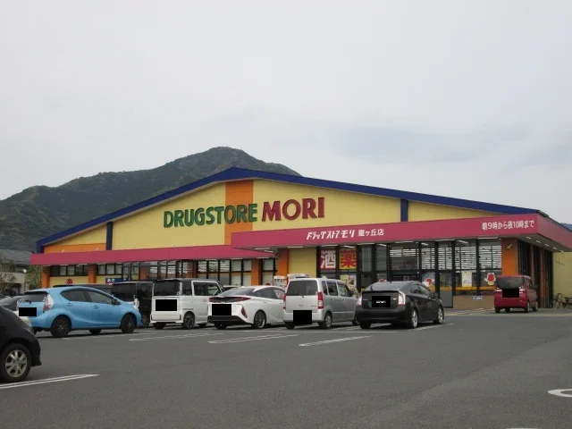 ドラッグストアモリまで800m