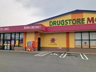 ドラッグストアモリまで1100m