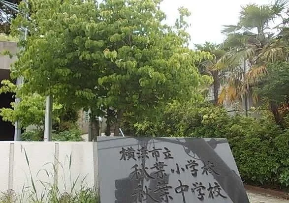 秋葉小学校まで200m