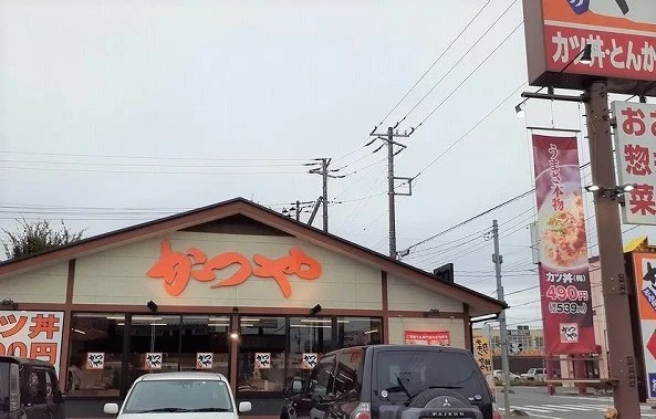 かつや 埼玉日高店まで400m