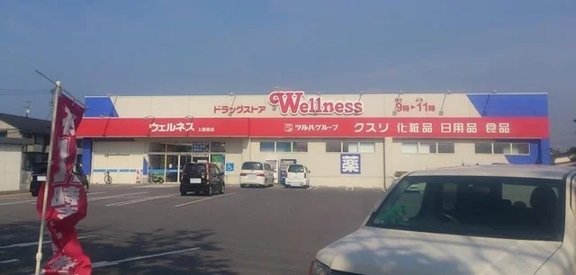 ドラッグストアウェルネス淀江店まで2800m