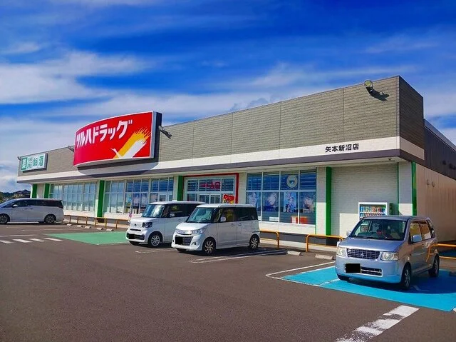 ツルハドラッグ 矢本新沼店まで800m