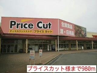プライスカット様まで980m
