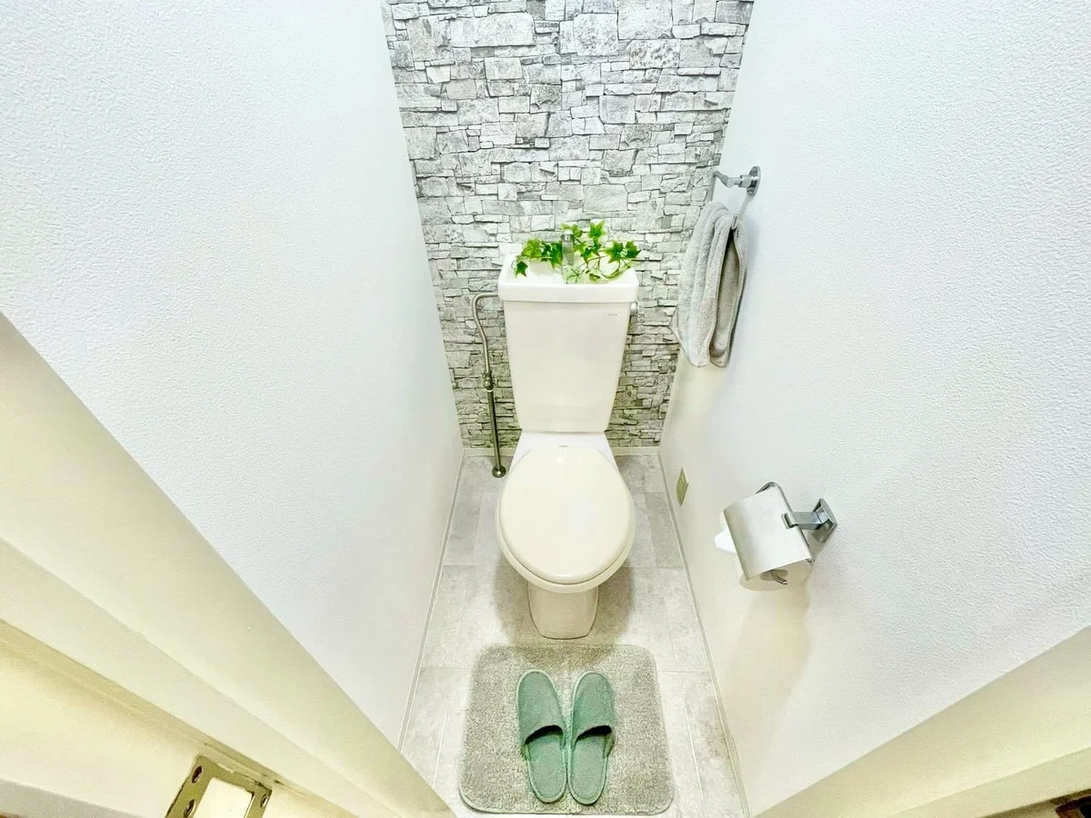 ※撮影用の観察植物・食器調理器具・雑貨類等はございません。※写真は現況優先