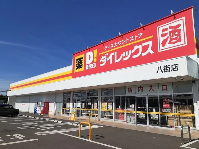 ダイレックス八街店まで1900m