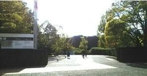 芸術の森公園まで900m