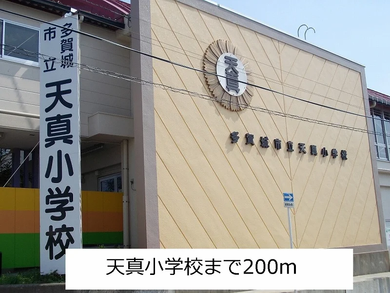 天真小学校まで200m