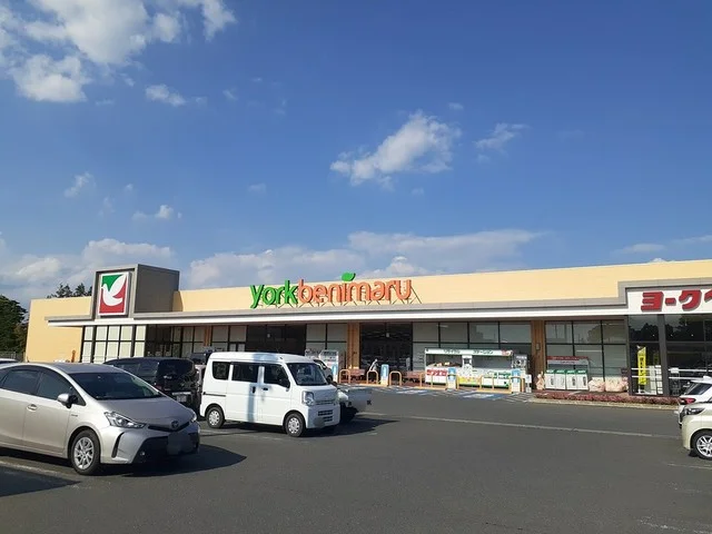 ヨークベニマル登米中田店まで1500m
