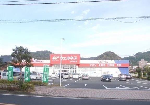 ウェルネス 大田中央店まで260m