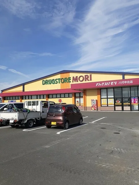 ドラッグストアモリ八代中北店まで1402m