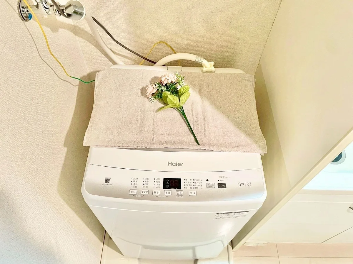 ※撮影用の観察植物・食器調理器具・雑貨類等はございません。※写真は現況優先