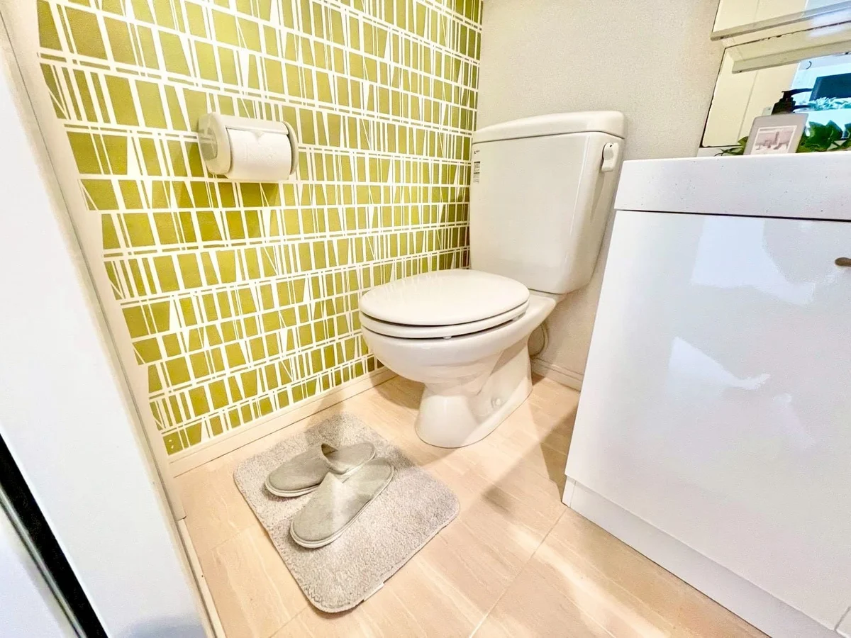 ※撮影用の観察植物・食器調理器具・雑貨類等はございません。※写真は現況優先