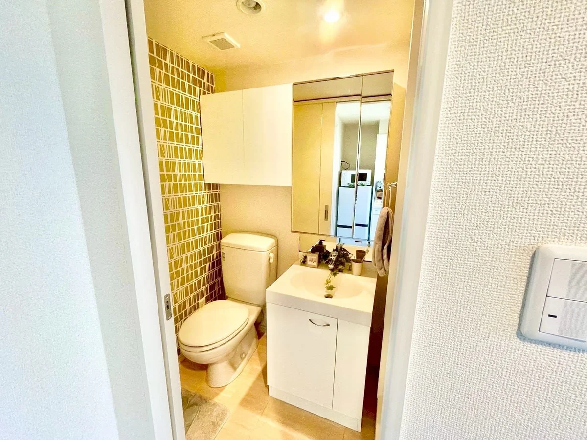 ※撮影用の観察植物・食器調理器具・雑貨類等はございません。※写真は現況優先