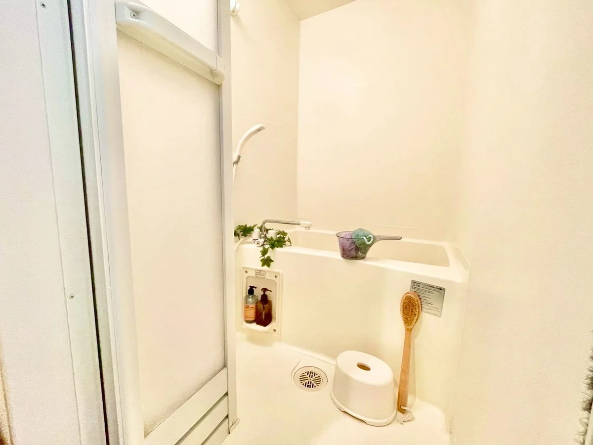 ※撮影用の観察植物・食器調理器具・雑貨類等はございません。※写真は現況優先