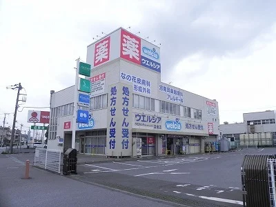 ウエルシア沼南店まで2500m