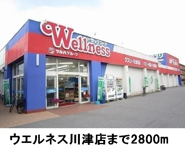 ウェルネス川津店まで2800m