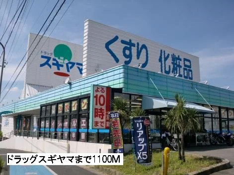 ドラッグスギヤマまで1100m