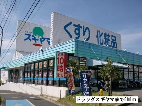 ドラッグスギヤマまで600m