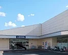 レモン平和町店まで600m
