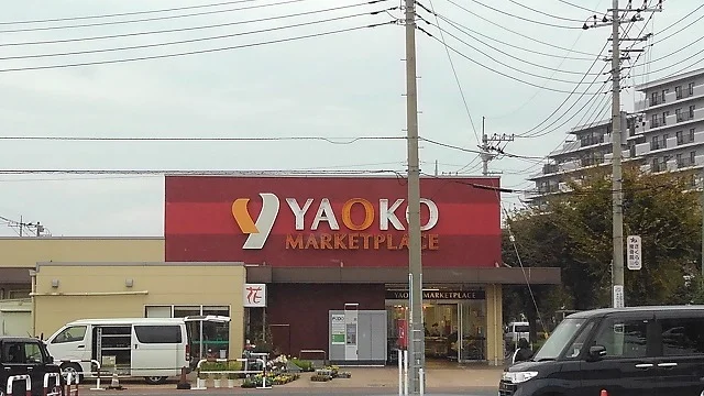 ヤオコー新白岡店まで1100m