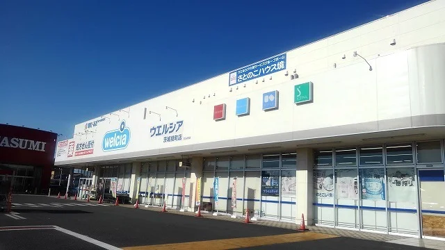 ウエルシア茨城境町店まで300m