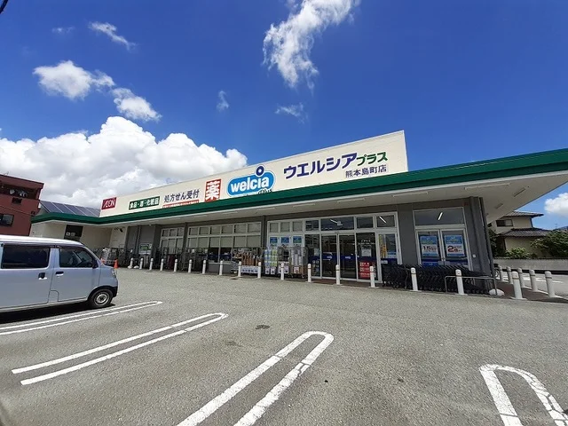ウエルシアプラス島町店まで800m
