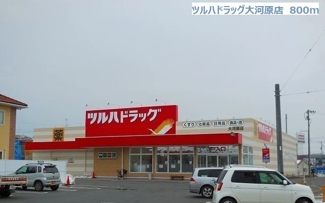 ツルハドラッグ大河原店まで800m