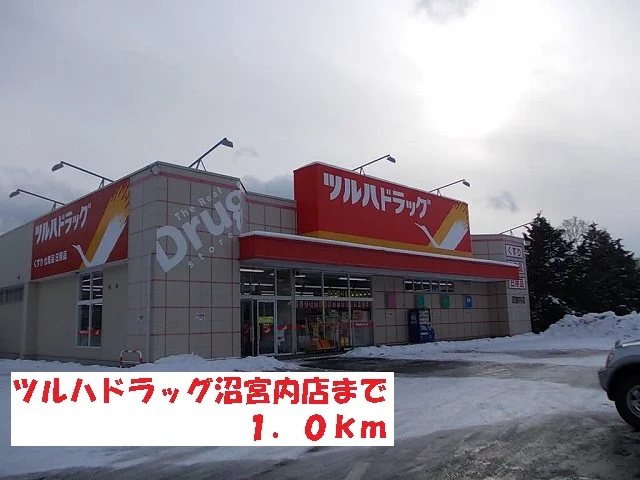 ツルハドラッグ沼宮内店まで1000m