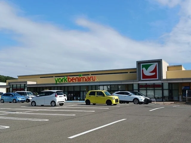 ヨークベニマル泉野村店まで1000m