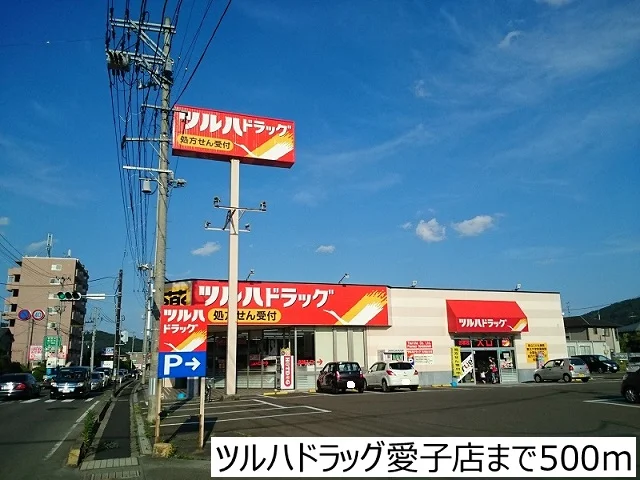ツルハドラッグ愛子店まで500m