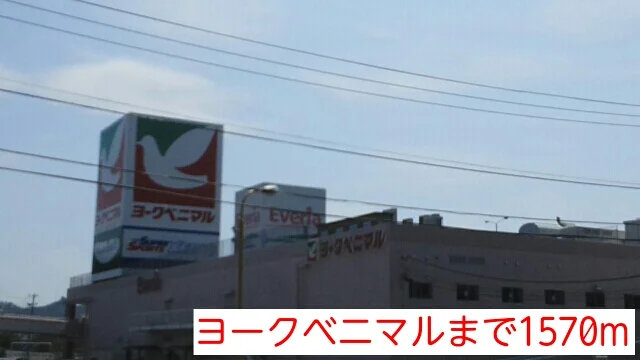 ヨークベニマルまで1570m