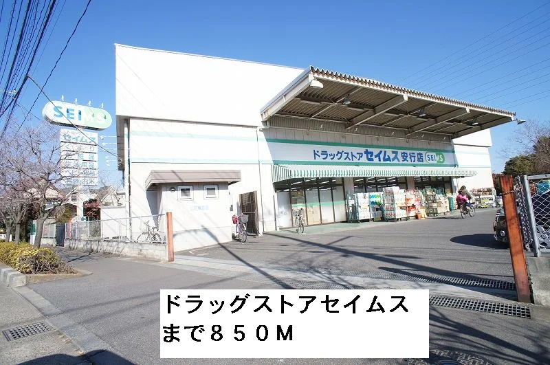 ドラッグストアセイムスまで850m