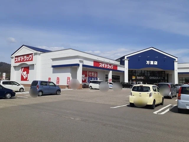 スギドラッグまで800m